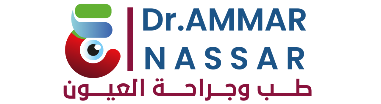 EgySpark Logo